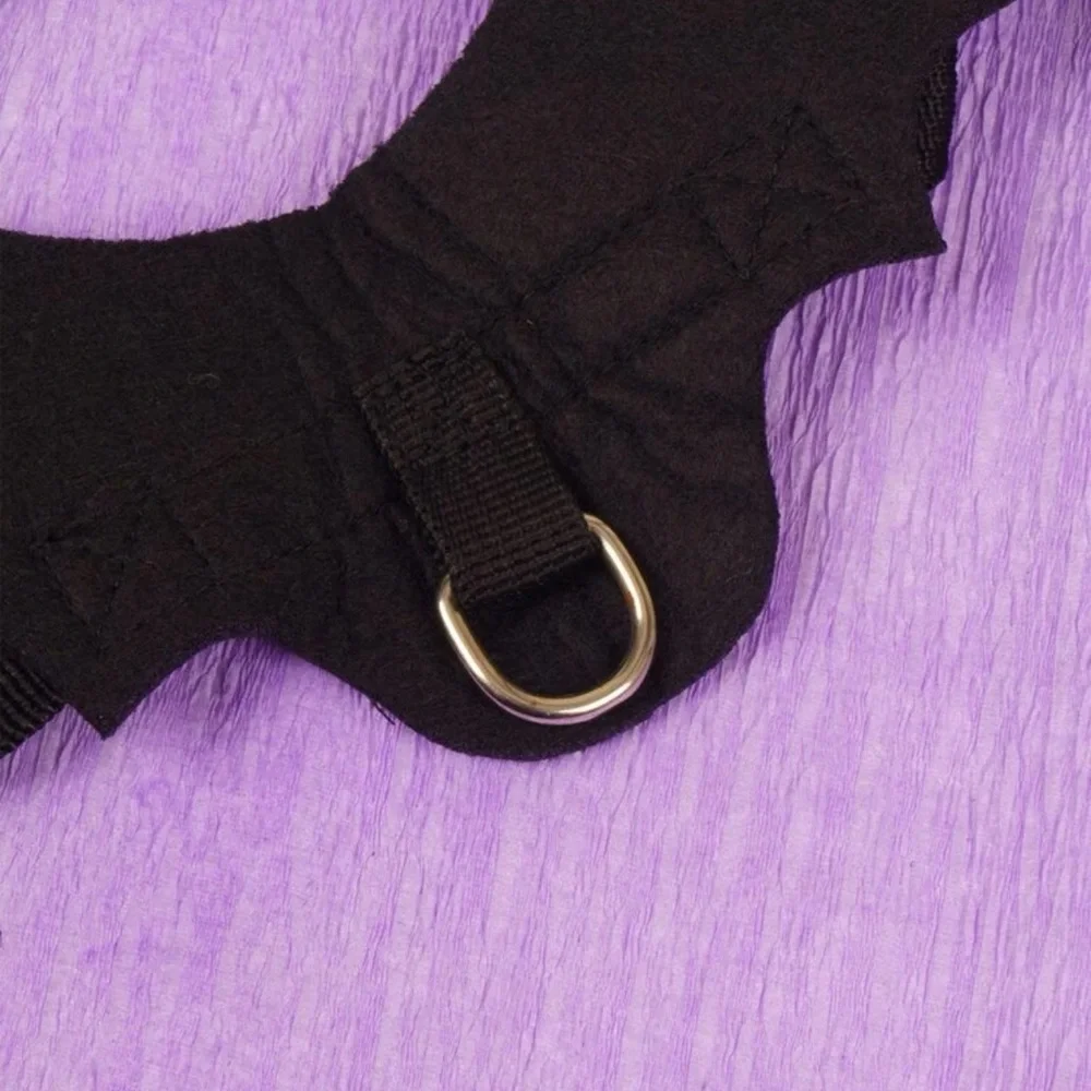 🐈‍⬛ Adorable Bat Wings Costume For Your Kitty Cat 🦇